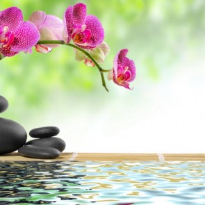 happiness and longevity affirmations